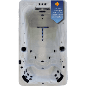 13' Aquex Pro Plus Swim Spa